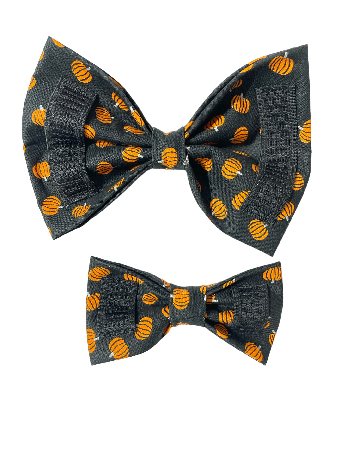 Pumpkin Harvest Hound Bow Tie