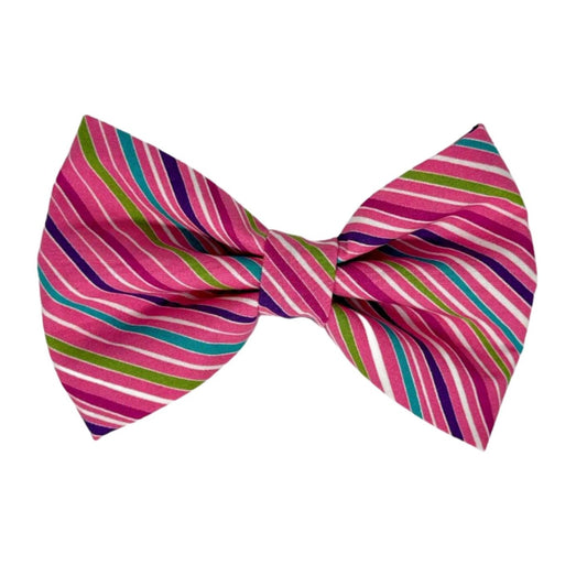 This cheerful dog bow tie features purple, aqua, magenta, green, and white stripes on a pink background by Magnolia Pet Company