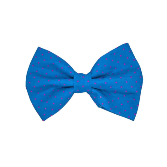 bright blue dog bow tie adorned with petite pink polka dots