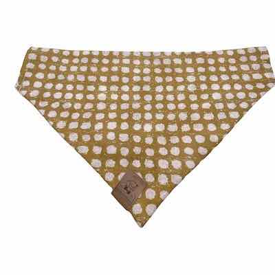 Glitzy Pumpkin with Polkadot Bandana