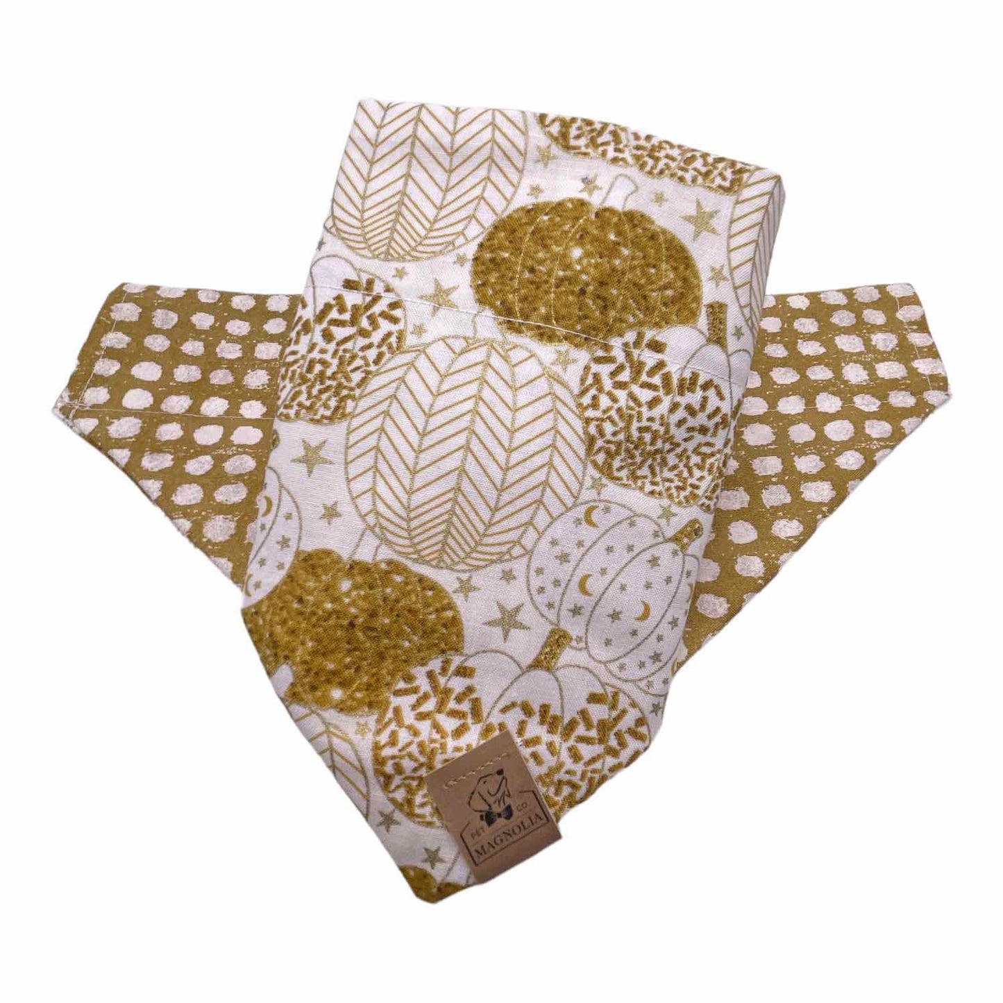 Glitzy Pumpkin with Polkadot Bandana