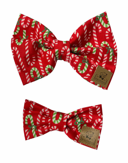 Candy Cane Green and Red Dog BowTie