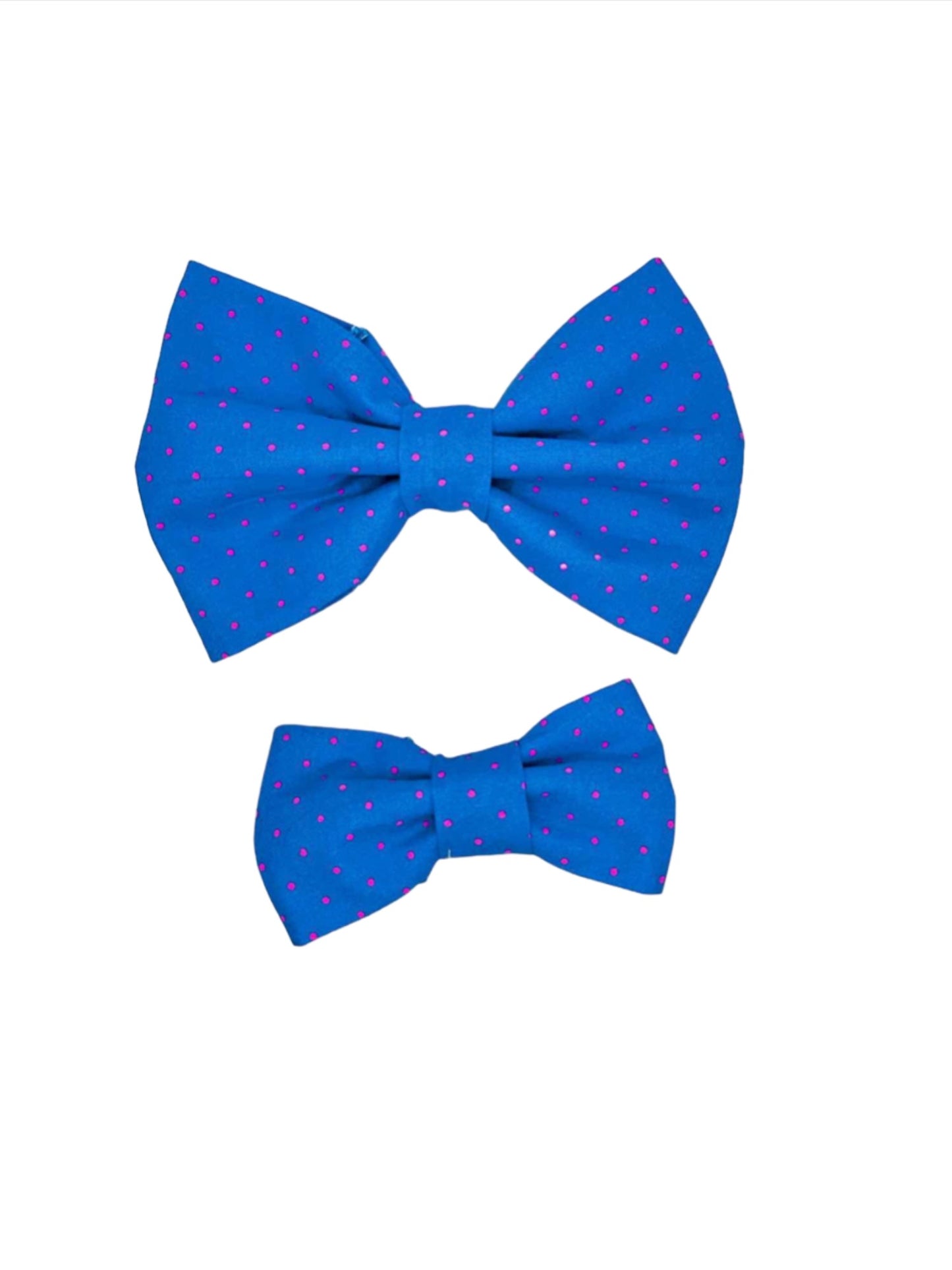 Electric Blue Small Polka Dot Dog Bow Tie
