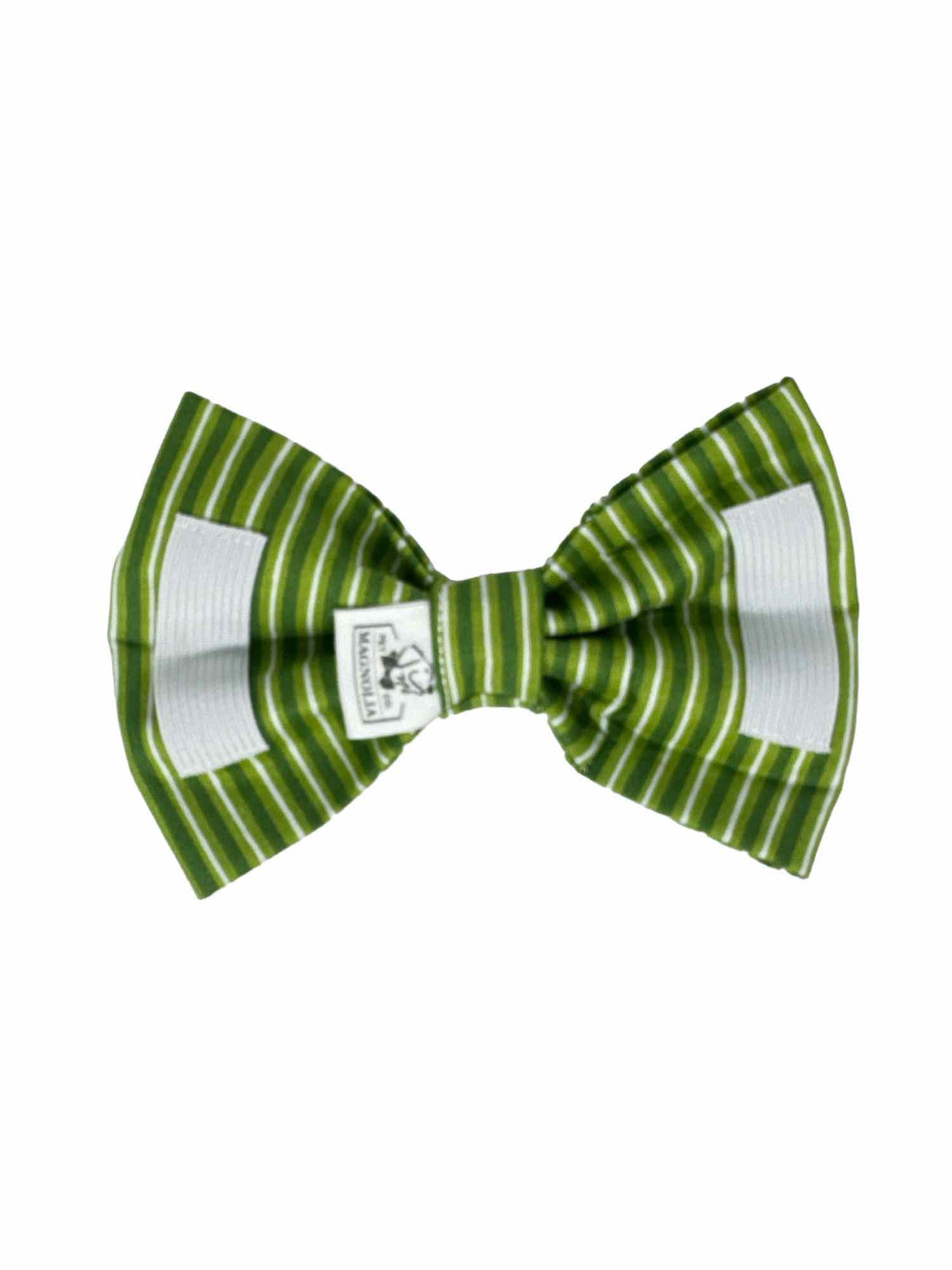 Lucky in Green Stripe Bow Tie