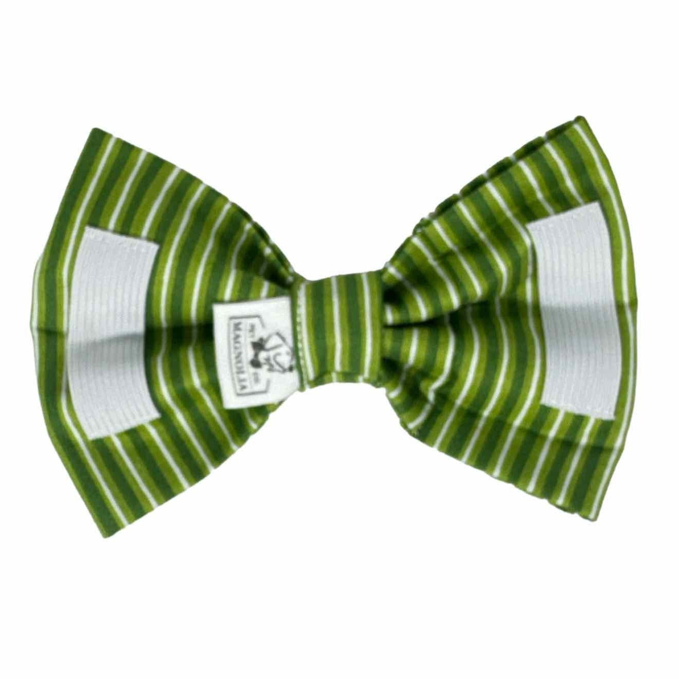 Lucky in Green Stripe Dog Bow Tie