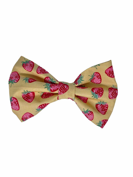 Strawberry Fields Dog Bow Tie