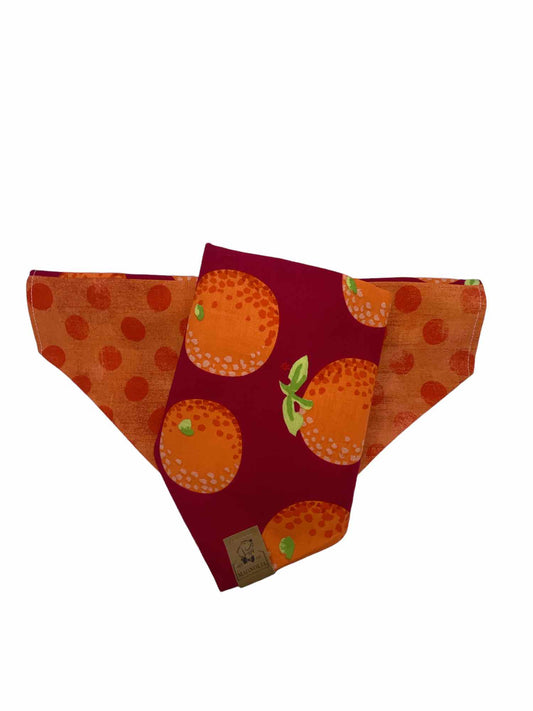 Orange you the cutest! Dog Bandana